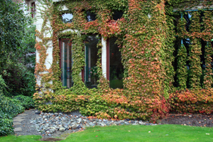 Empress Hotel Victoria