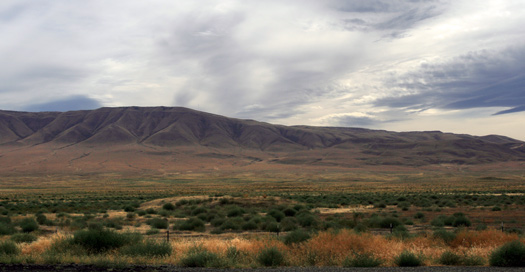 The lone and dreary worldâ€¦