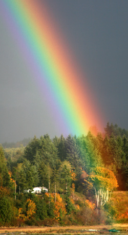 Rainbow over Port Gamble