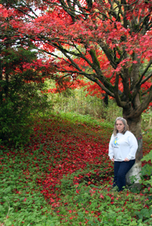 Kristin under the red tree