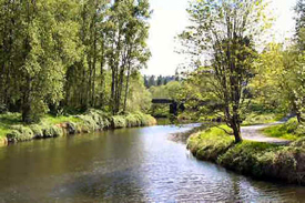 Path along the Sammamish River
