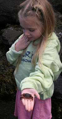 Emily held a little crab